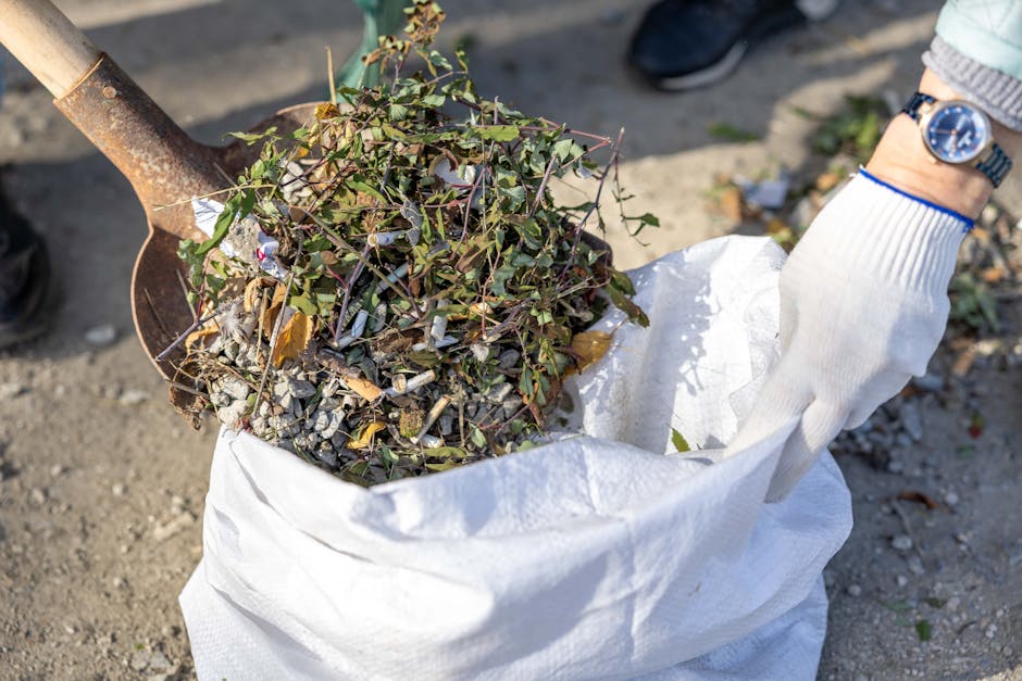 Same day rubbish clearance in Uxbridge what to know